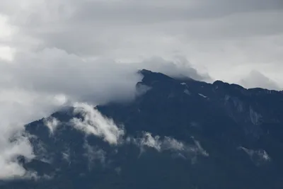 DSC_6244 (Large).JPG